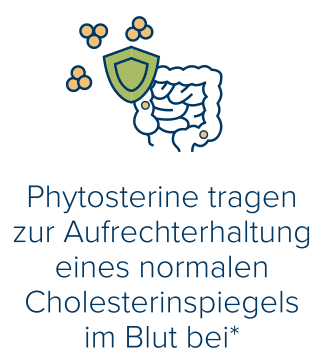 Phytosterine tragen zur Autrechterhaltung eines normalen Cholesterinspiegels im Blut bei